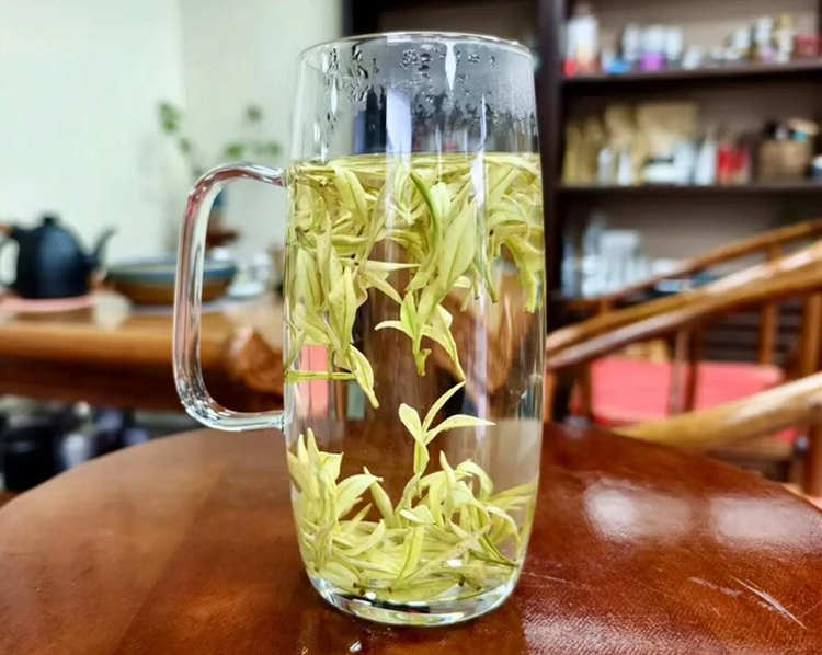 安吉皇金芽的特點有哪些