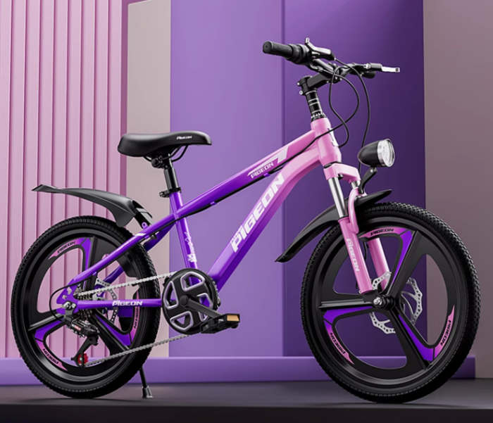 飛鴿牌自行車兒童女孩6到12-15歲變速山地車