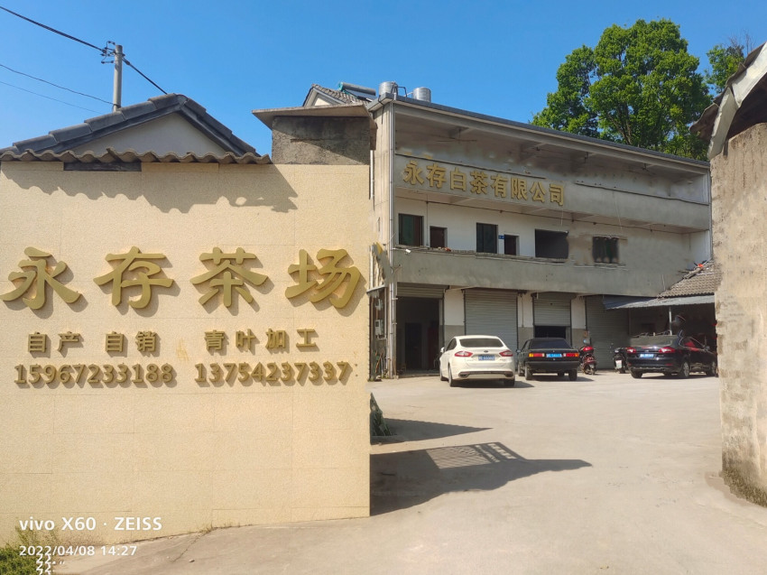 浙江安吉永存白茶有限公司怎么樣,地址聯系方式